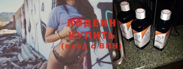 индика Рославль